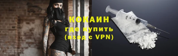 дживик Сосновый Бор