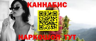 сатива Кунгур