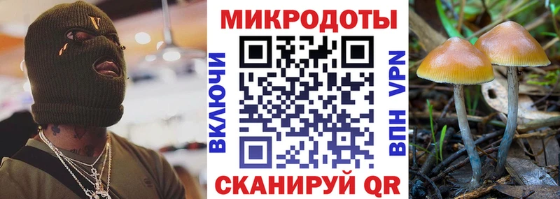 Псилоцибиновые грибы мицелий Карпинск