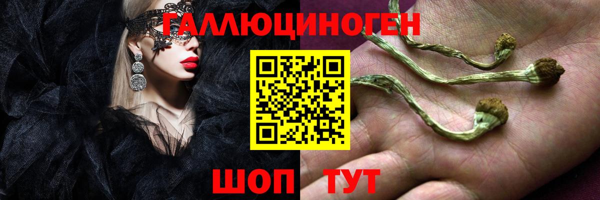 Карпинск  Галлюциногенные грибы мицелий  Вход с VPN 